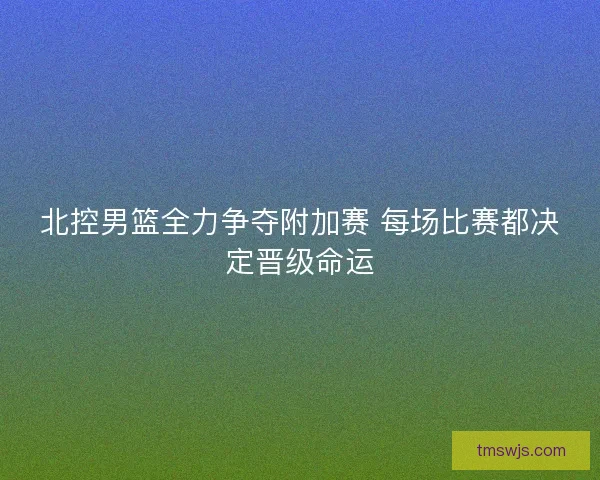 北控男篮全力争夺附加赛 每场比赛都决定晋级命运